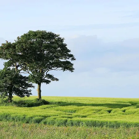 Springthorpe Scalby (North Yorkshire)