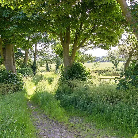 Feriehus Springthorpe Scalby (North Yorkshire)